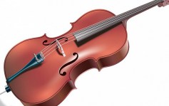 violoncelle